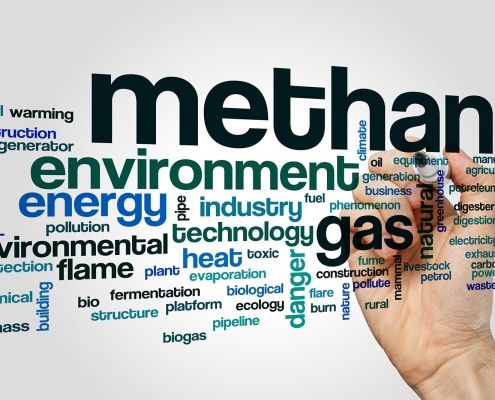 Reducir el Metano en los Rumiantes-Una buena oportunidad