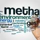 Reducir el Metano en los Rumiantes-Una buena oportunidad